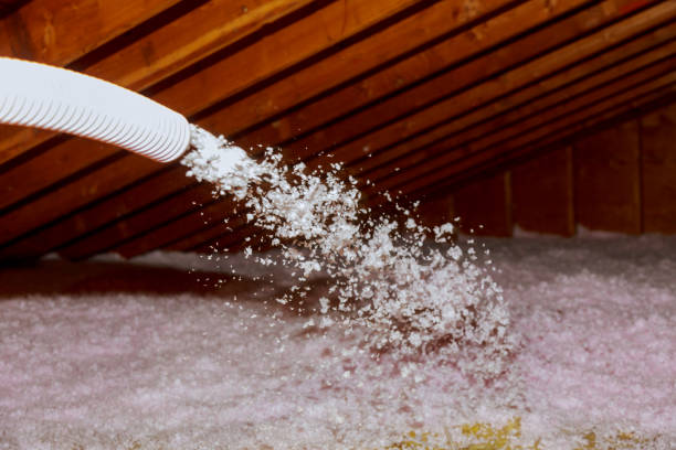 Best Cellulose Insulation in San Ysidro, NM