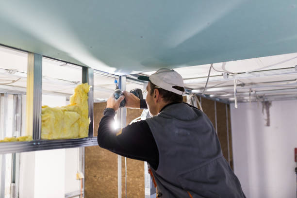 Best Spray Foam Insulation in San Ysidro, NM