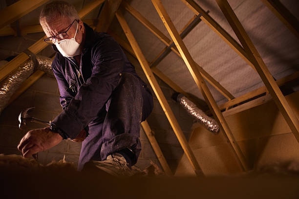 Best Geographic-Specific Insulation Services in San Ysidro, NM